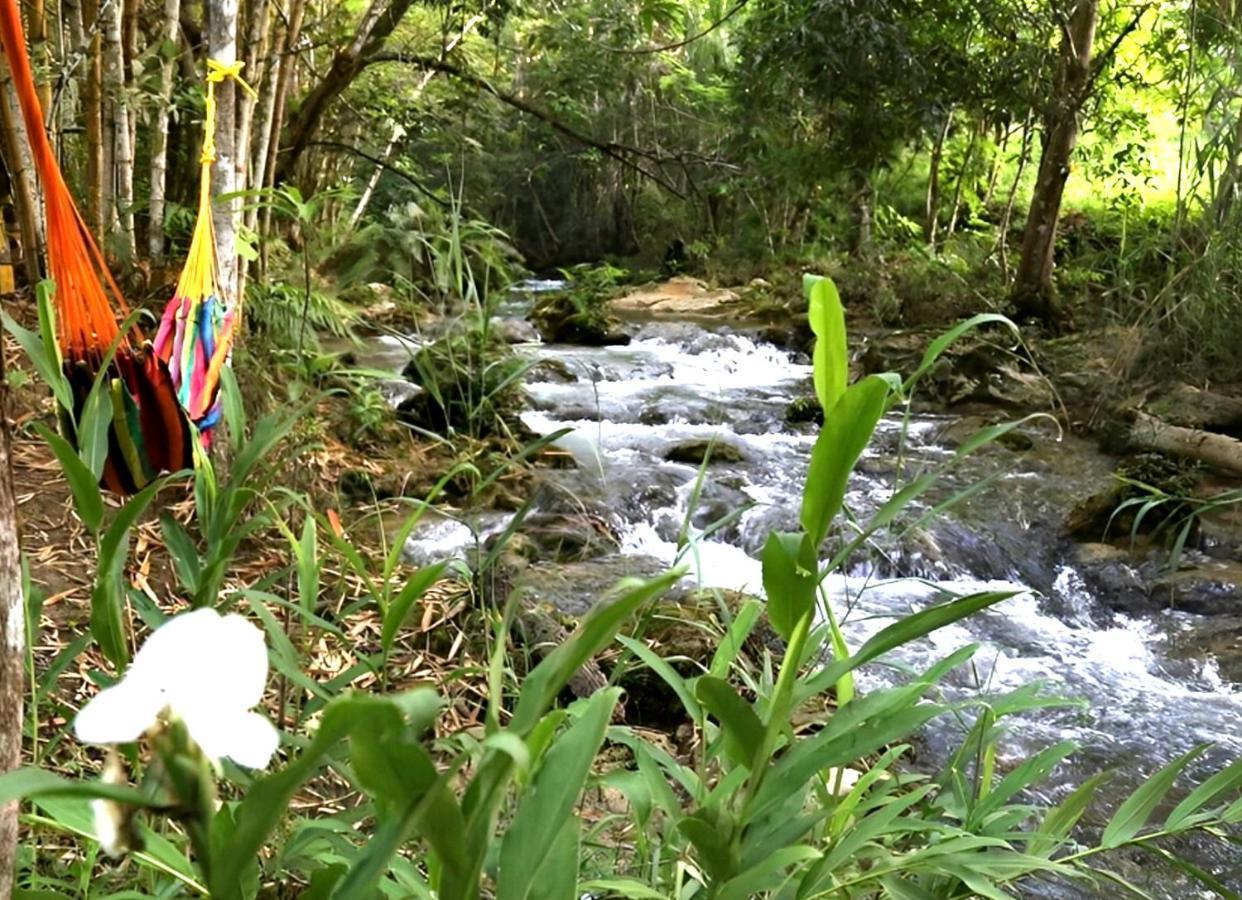 فيلا San Miguel del Puertoفي Reserva Ecologica Vive Copalitilla المظهر الخارجي الصورة