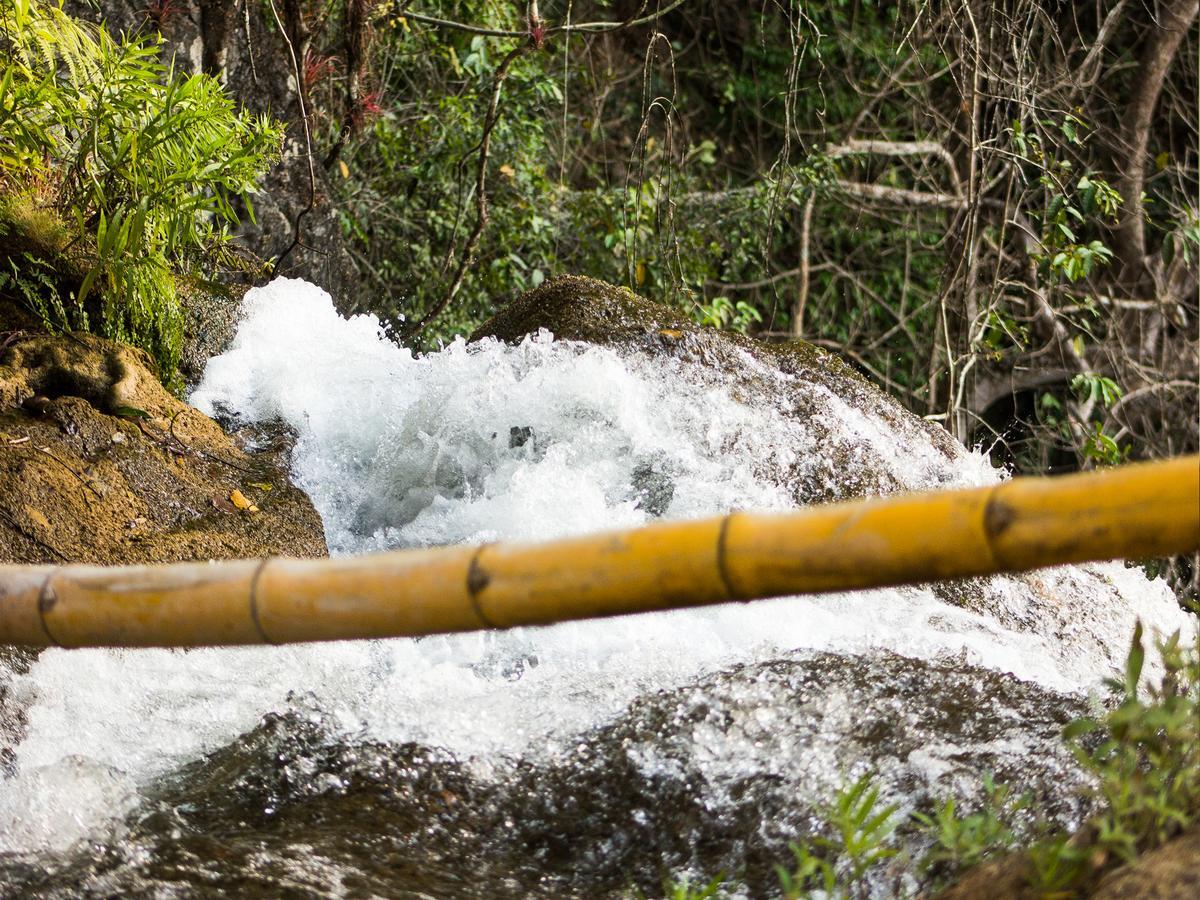 فيلا San Miguel del Puertoفي Reserva Ecologica Vive Copalitilla المظهر الخارجي الصورة